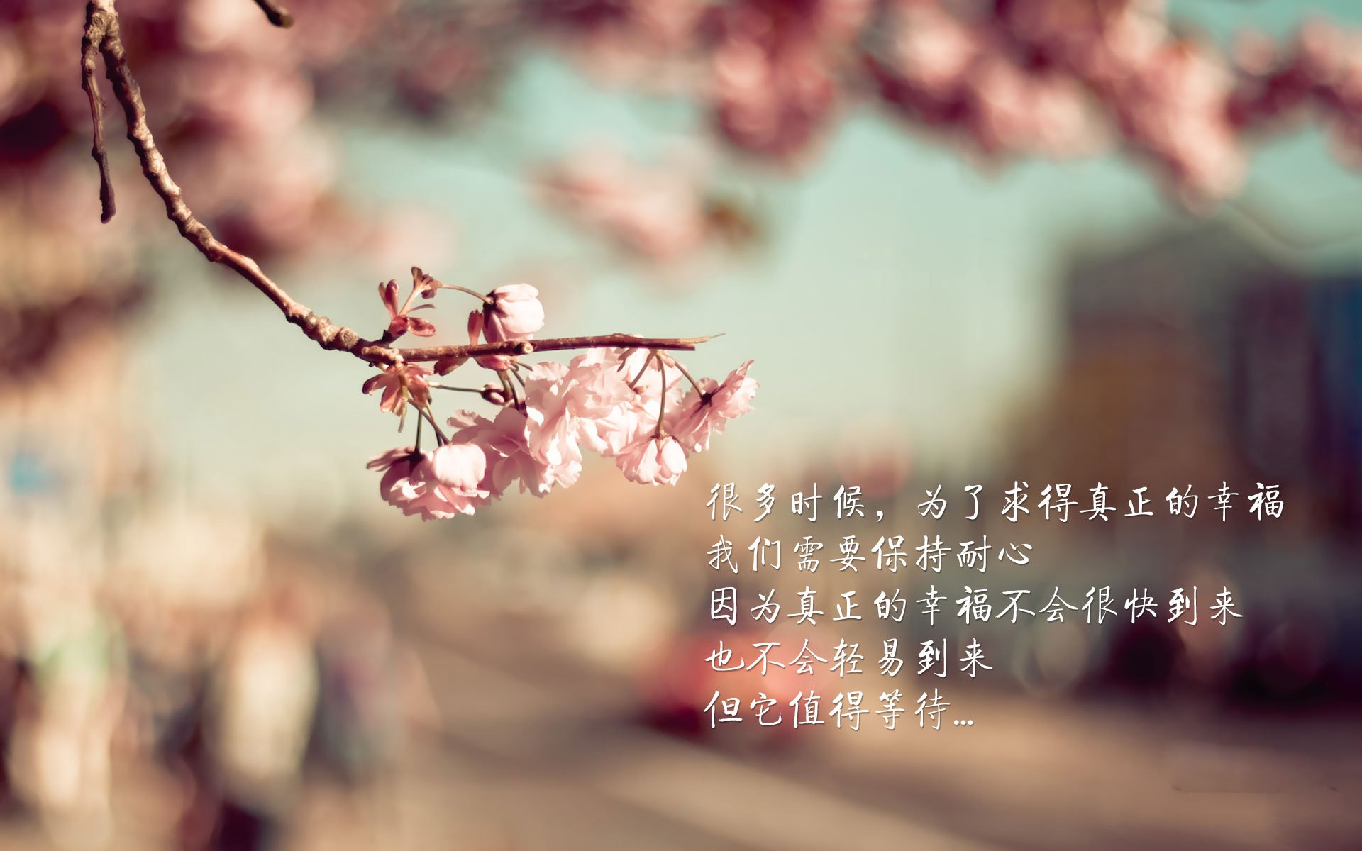 _极地赛场：极限运动的特殊体验_，极地竞技赛