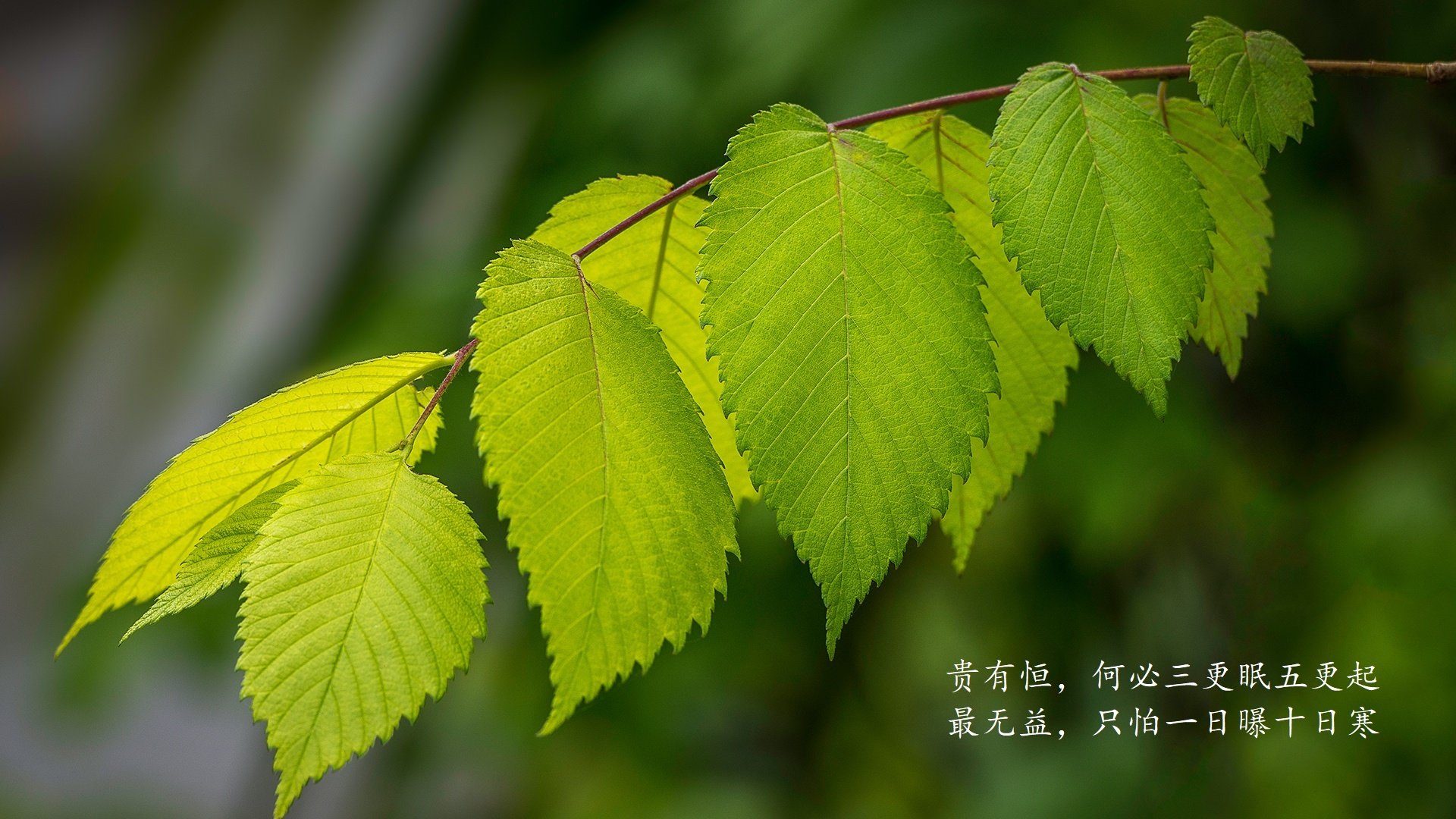 中国青少年足球训练基地成为国家级示范点，青少年足球培训基地