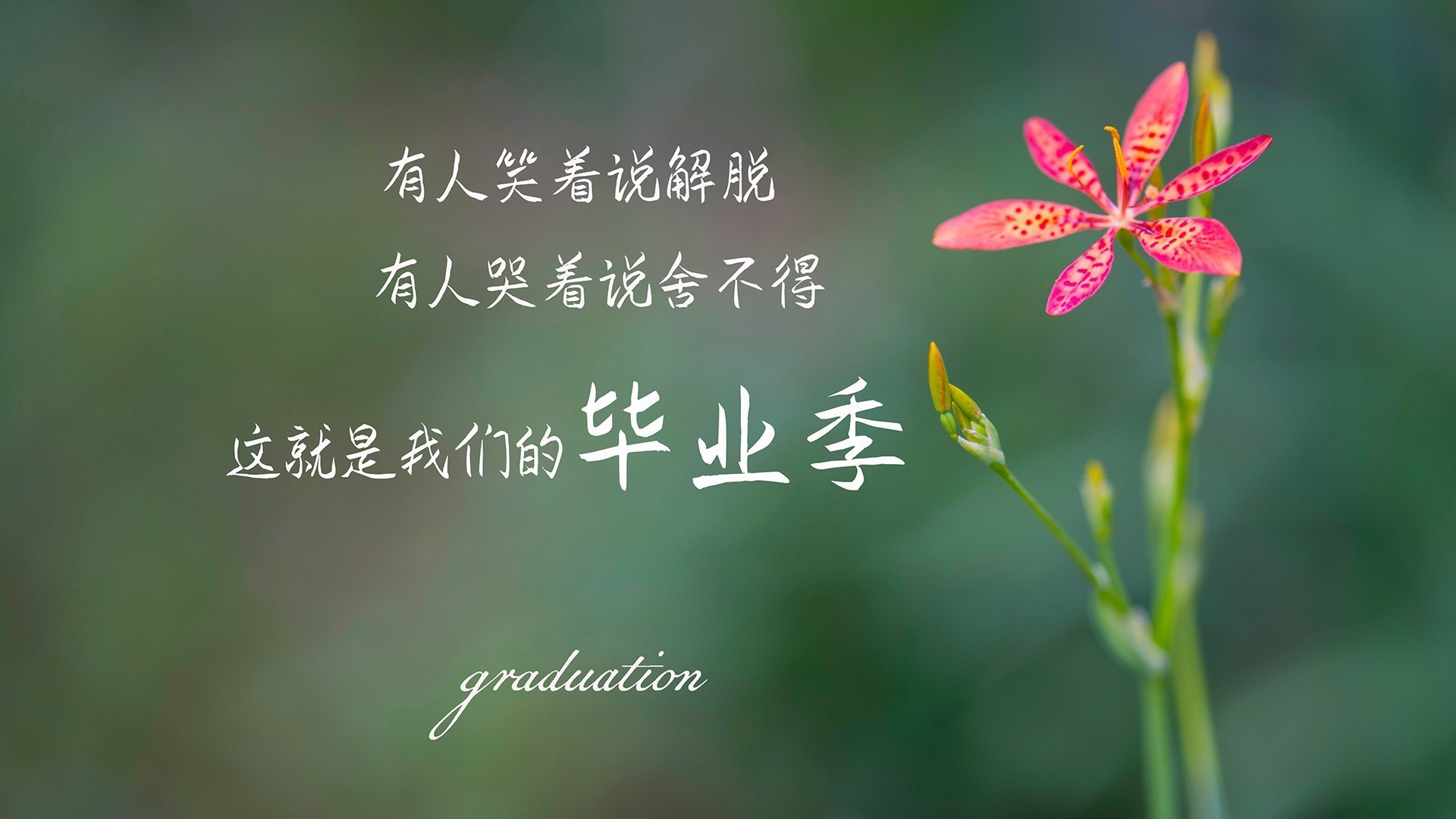 英超争夺激烈，精彩进球和神级扑救不断上演，英超进球集锦视频