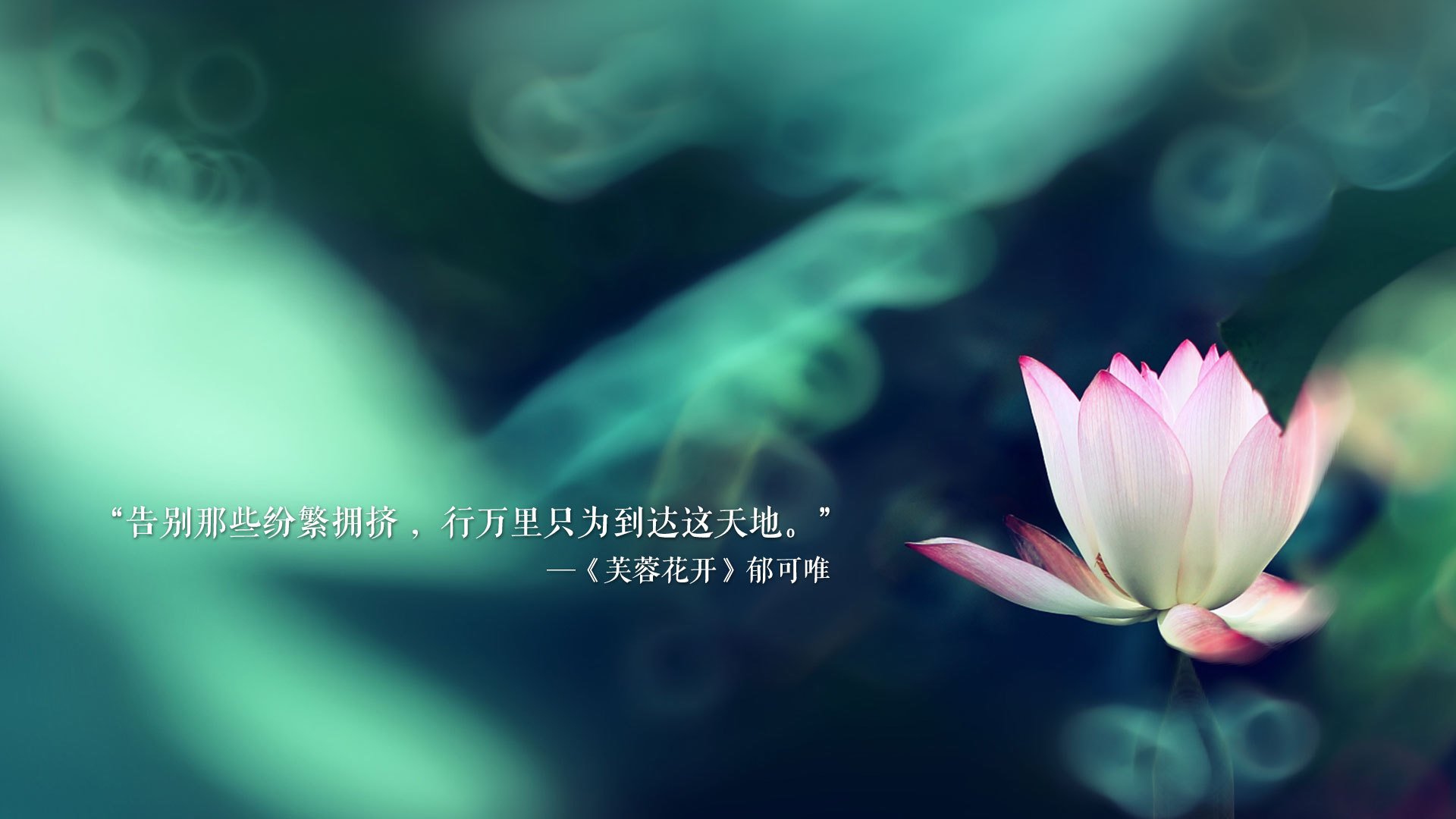 贵州恒丰队员团结一心，迎来挑战，贵州恒丰队球员名单