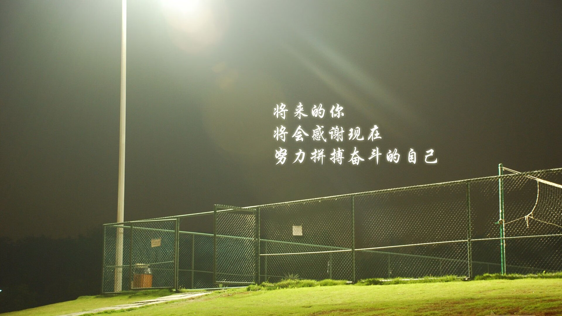 葡萄牙骑手玛丽亚·卡埃塔诺在2024年葡萄牙盛装舞步锦标赛中以“Hit Plus”马匹获得个人赛银牌，展现坚韧精神。