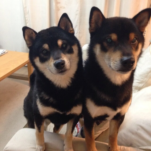 AC米兰边路进攻愈发犀利,ac米兰边后卫大全