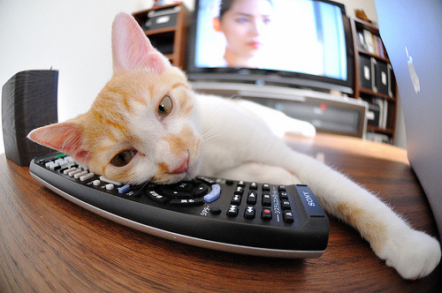 中国女篮注重团队精神 培养协作默契,中国女篮团队精神的感悟