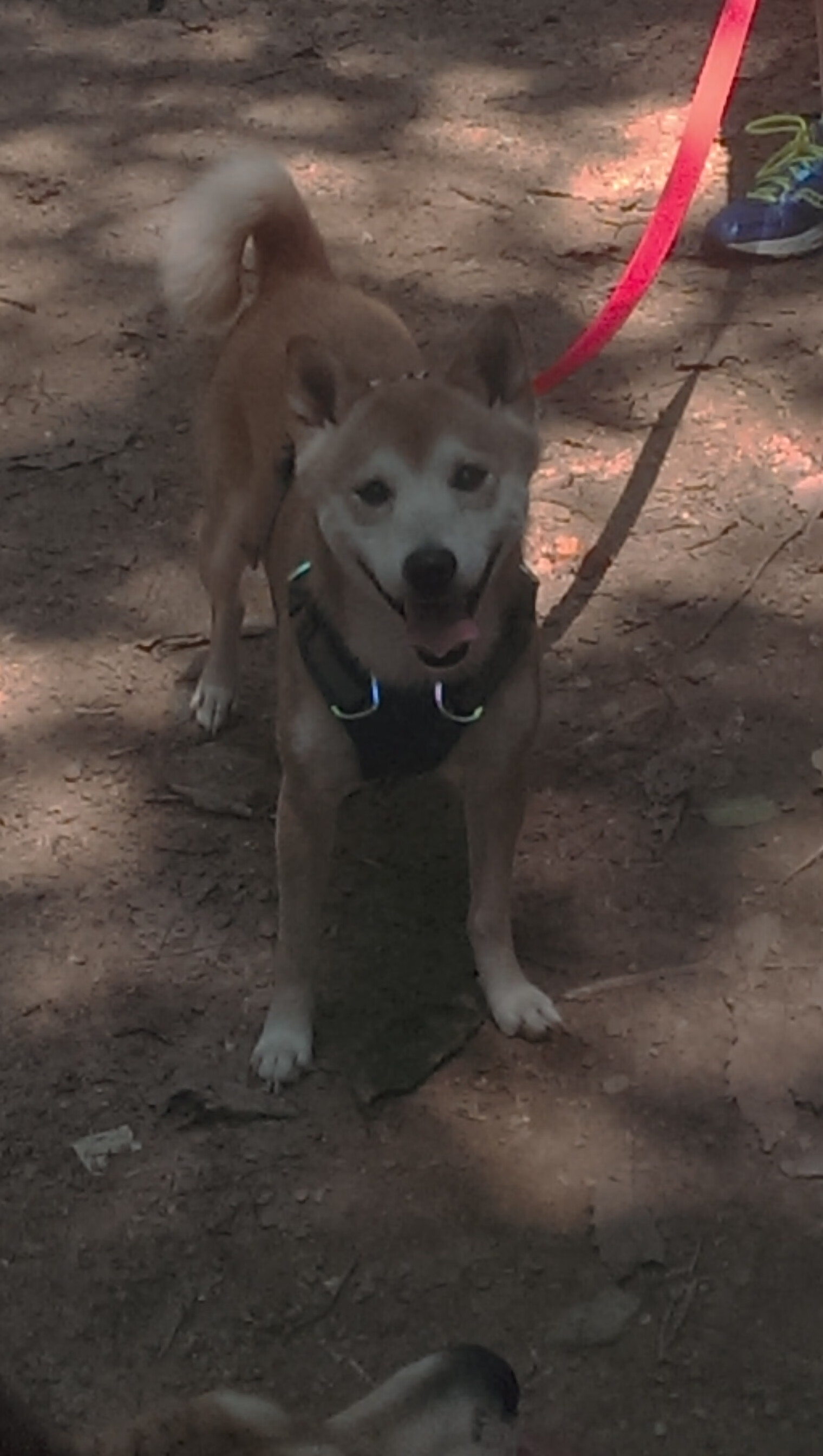 中超门将专项训练系统推动技术革新，中超门将本赛季扑救榜