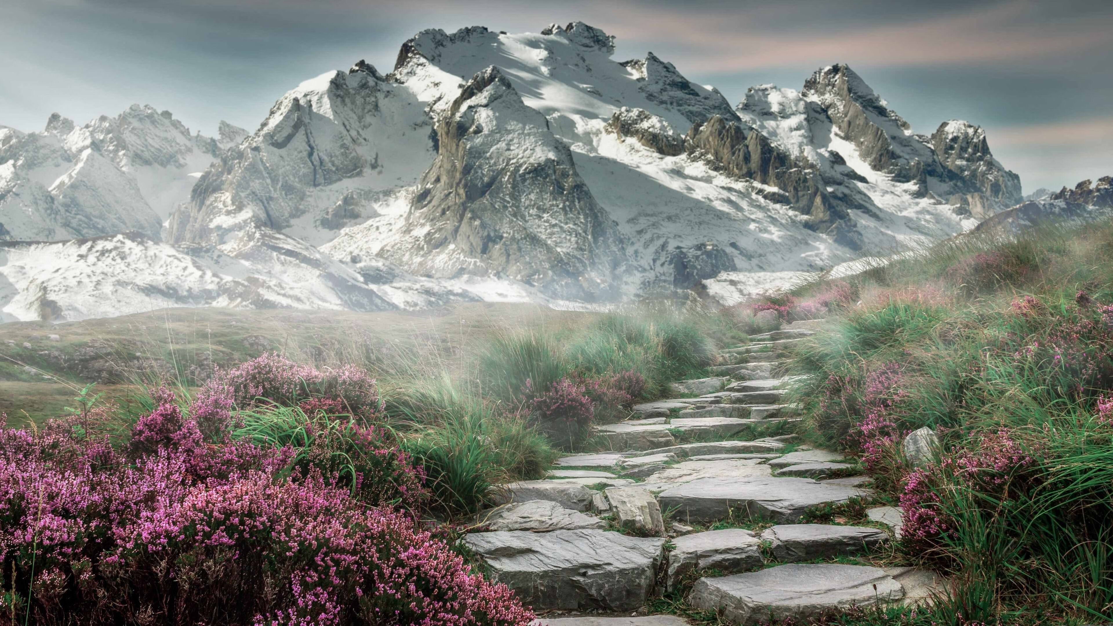 伊丽莎白·德克斯泳姿优雅成赛场焦点,演员_伊丽莎白·德比齐