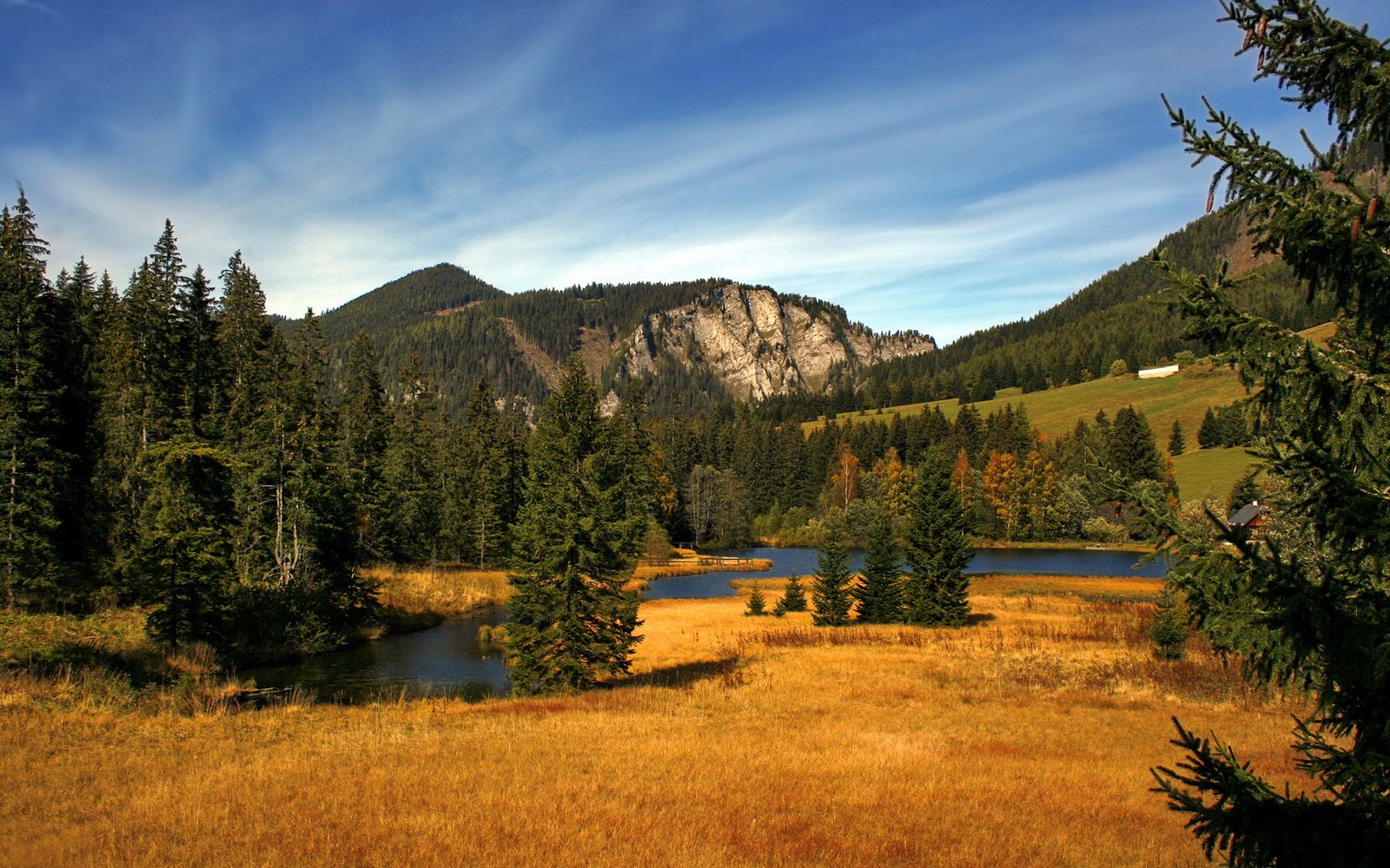 勇士主帅称年轻球员正在快速成长,勇士队现任主教练