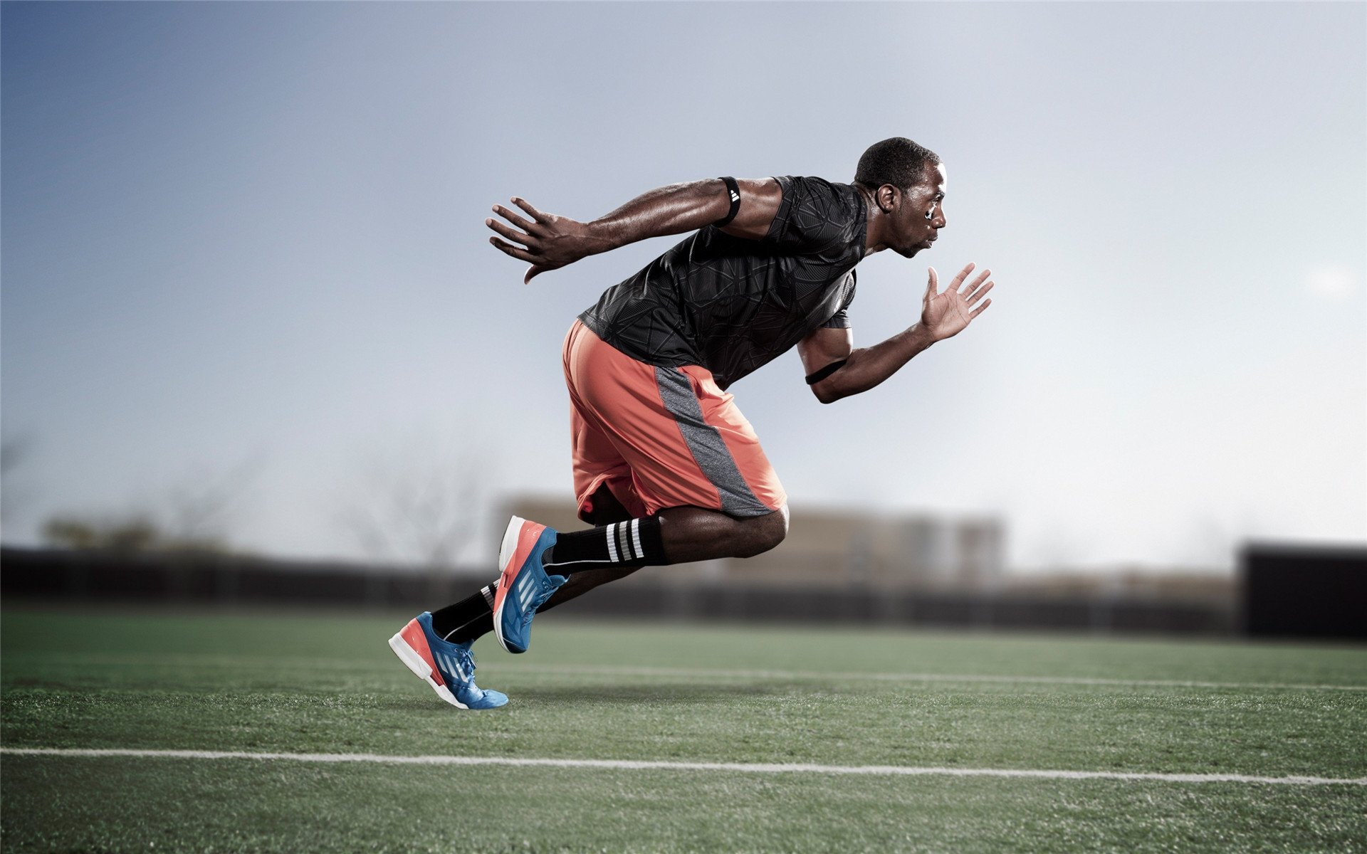 卢卡斯·梅尔滕斯:德国自由泳的坚实支柱