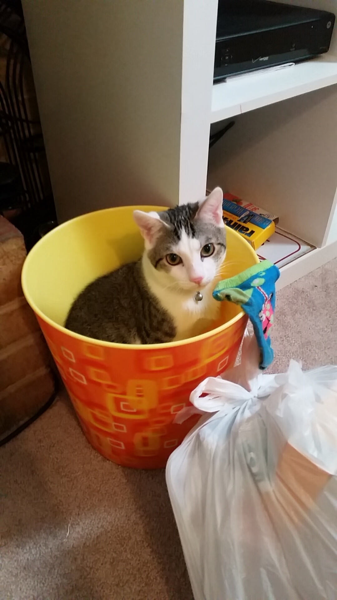 女子篮球联赛曝光度提升带动整体关注度上升,女子篮球联赛叫什么