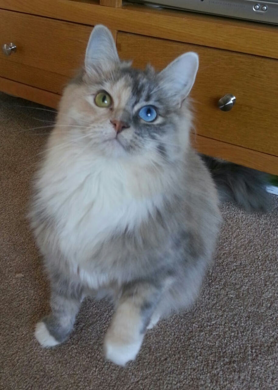 九游app下载中心-篮球校园文化节融合艺术设计提升学生参与创意空间，校园篮球文化活动