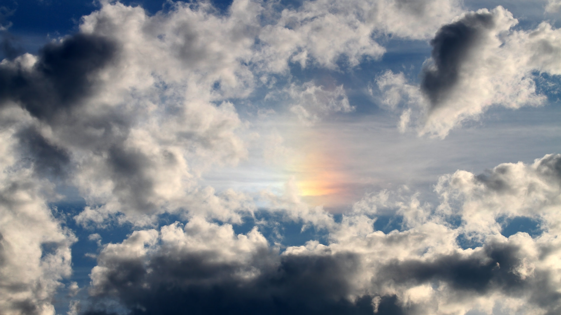 自由泳波兰选手勇挑重担,自由泳波兰选手勇挑重担的视频