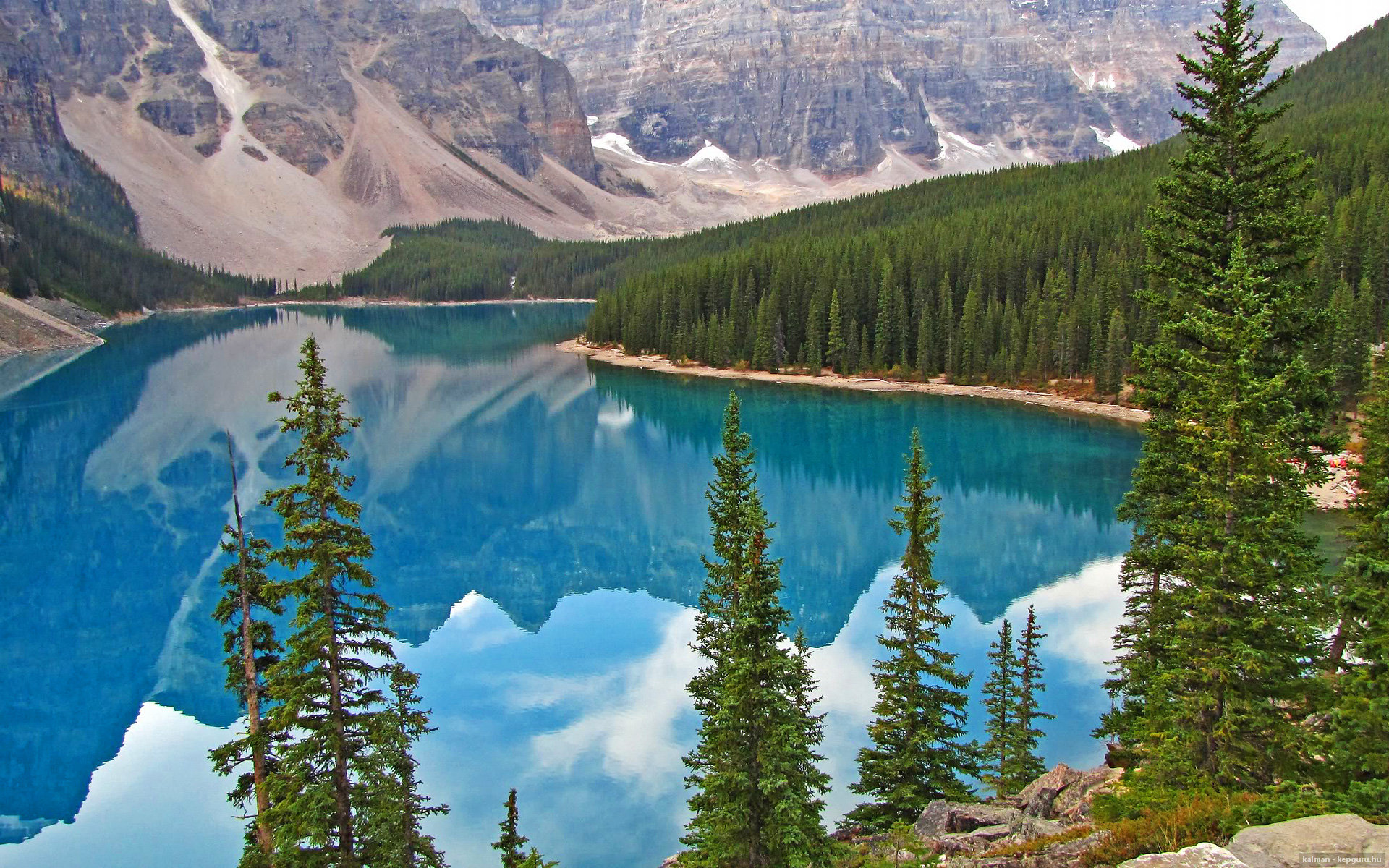 蛙泳冲刺波兰表现抢眼,蛙泳比赛都采用波蛙吗